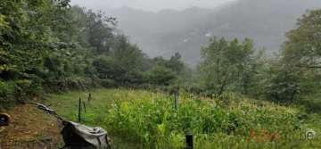 Vistas