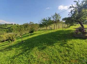Jardín