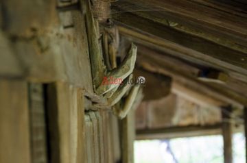Detalle