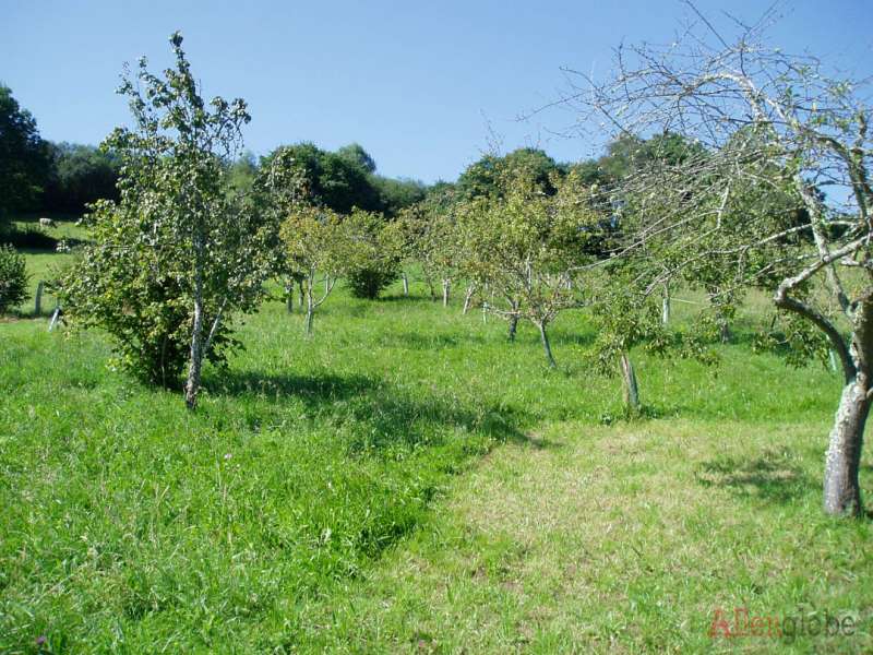 Disfruta de la naturaleza en Asturias - AC13337 - Ficha de inmueble