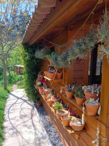 Detalle
